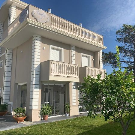 Crialesi Boutique Rooms Falerna Εξωτερικό φωτογραφία